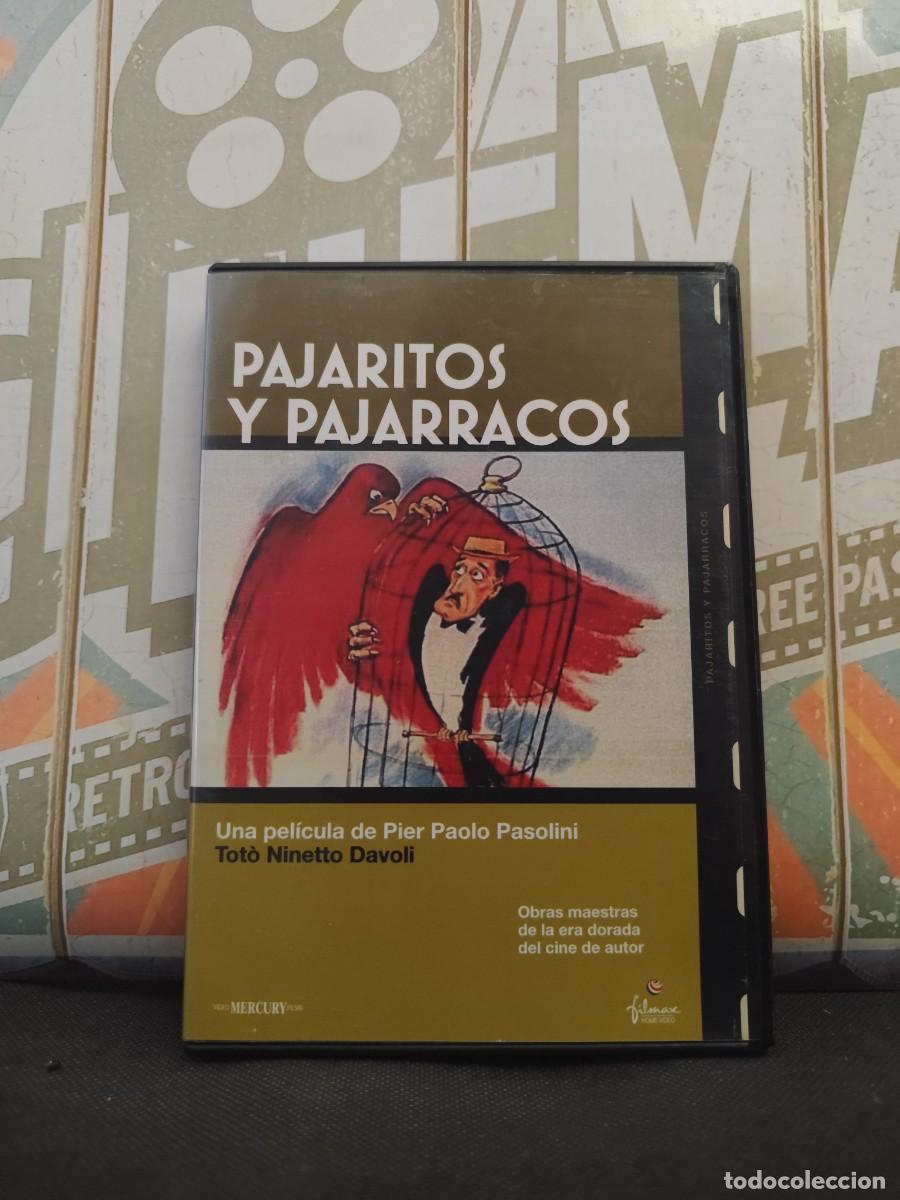 Cine: DVD 2404 Pajaritos y pajarracos / Disco como nuevo