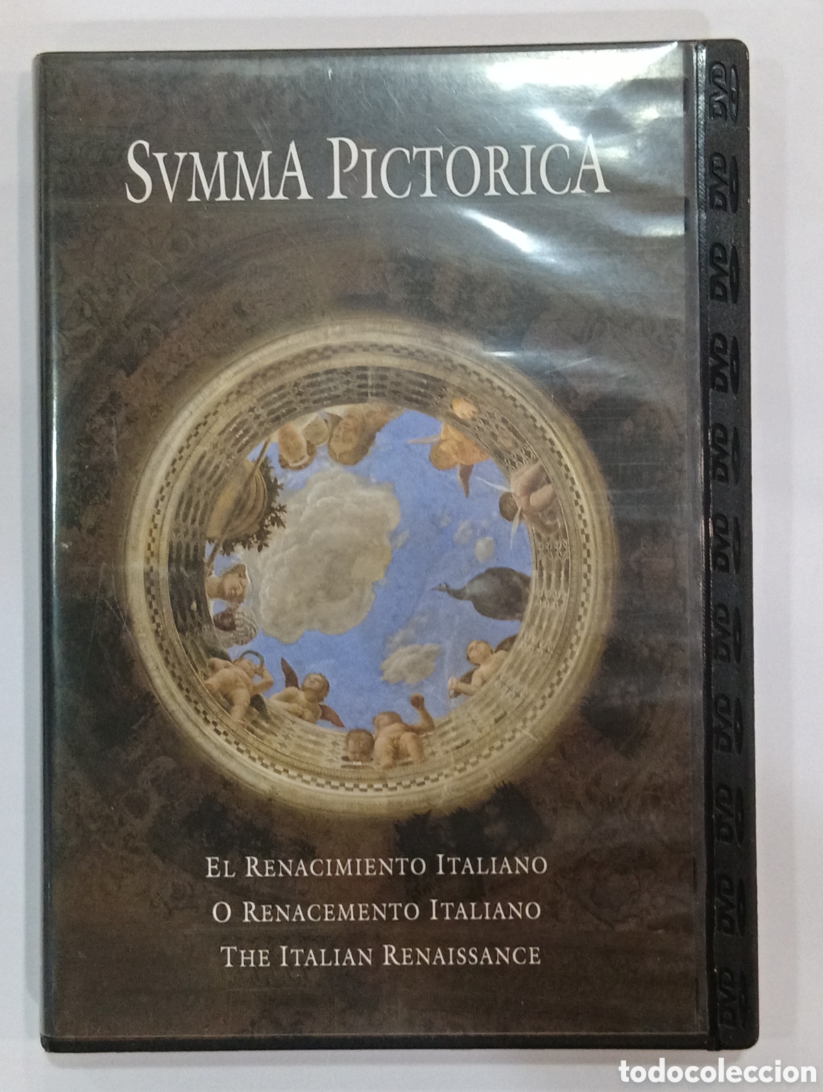 Cine: Svmma Pictorica - DVD - el renacimiento italiano - Buen estado