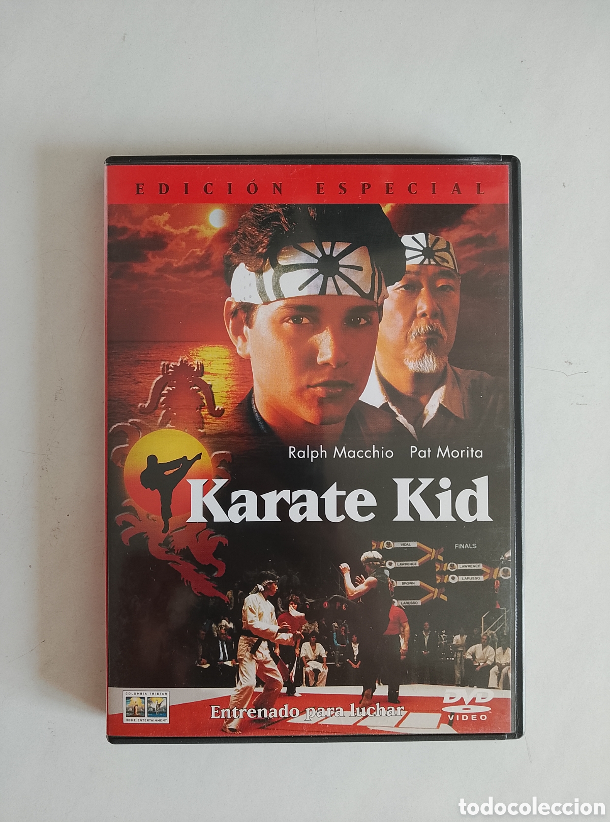 Cine: PELICULA DVD KARATE KID (EDICI&Oacute;N ESPECIAL)