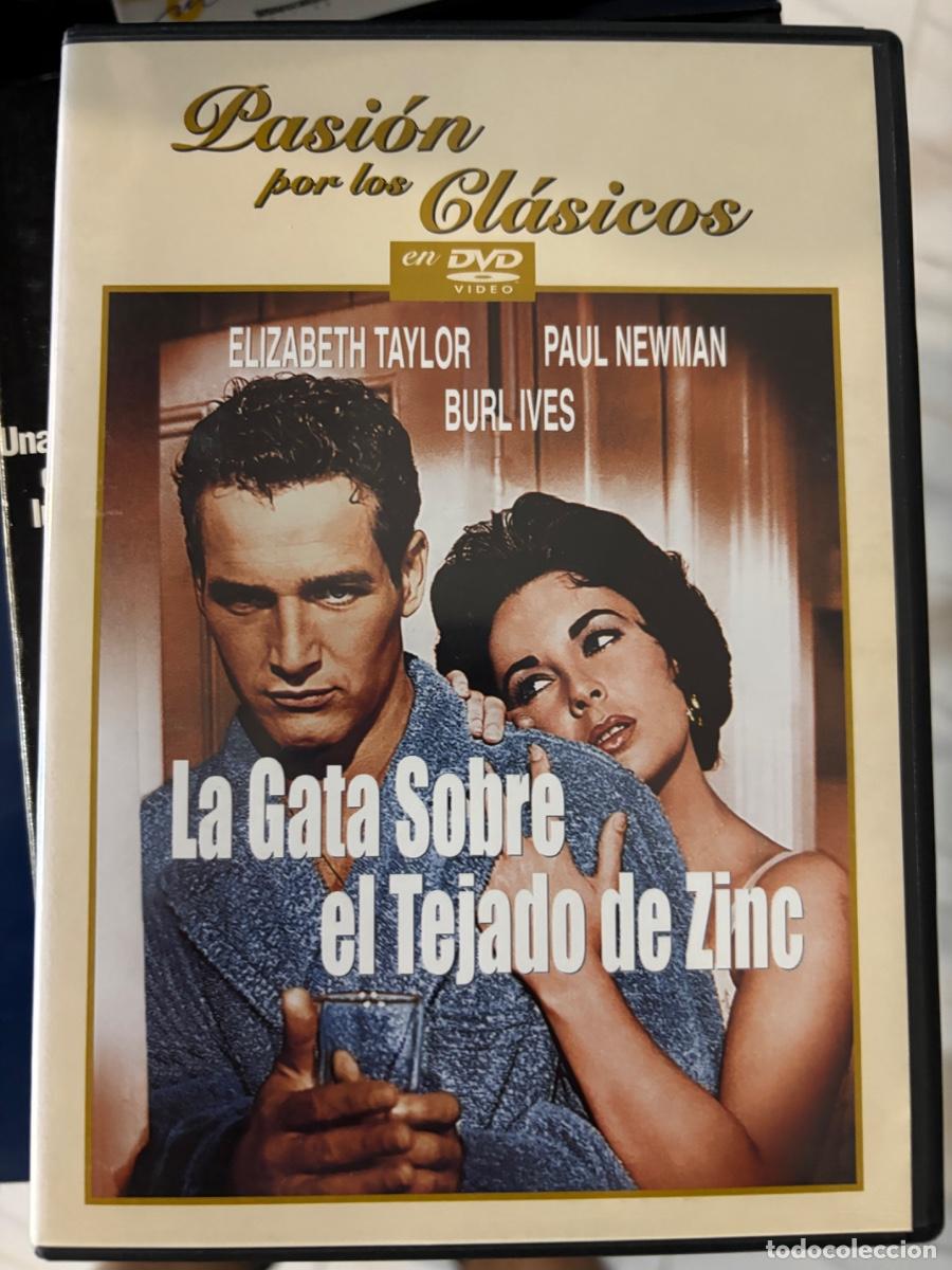 Cine: LA GATA SOBRE EL TEJADO DE ZINC (Pel&iacute;cula dvd)