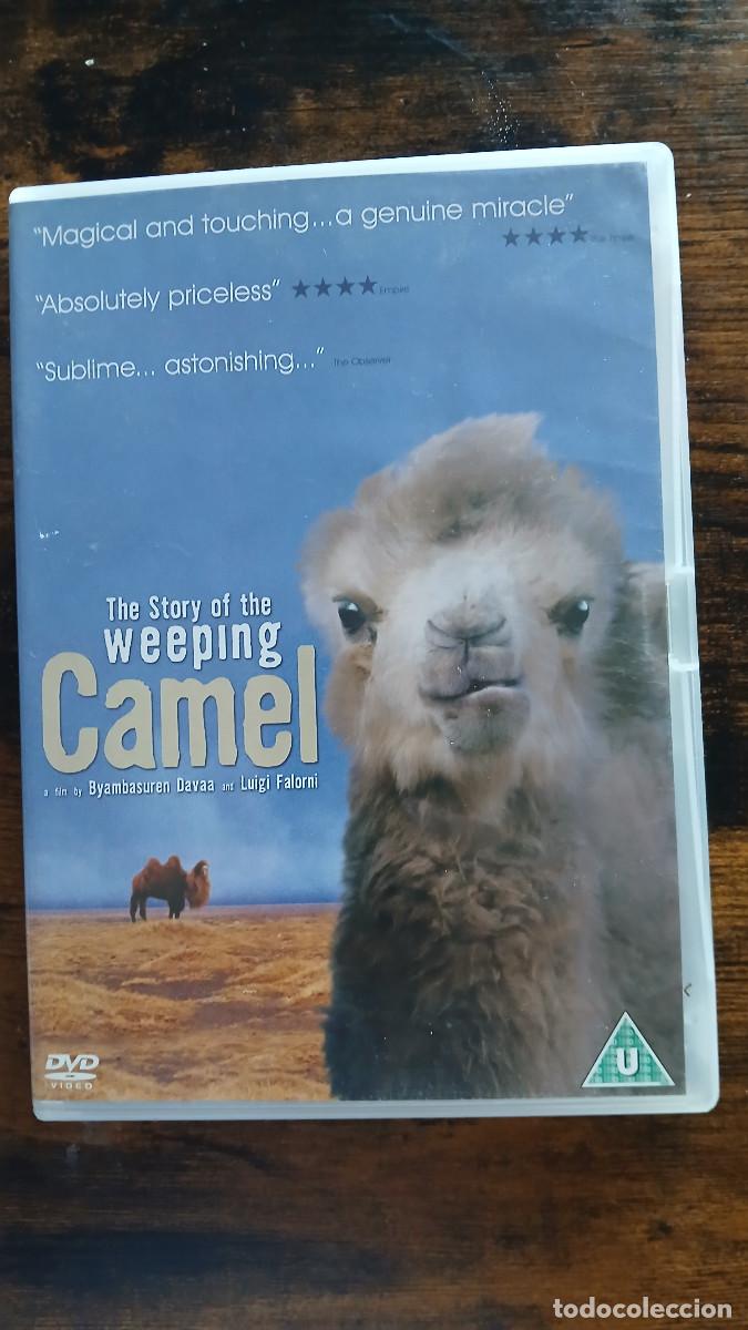 Cine: DVD The Weeping Camel. Mongol con subtitulos en Ingles