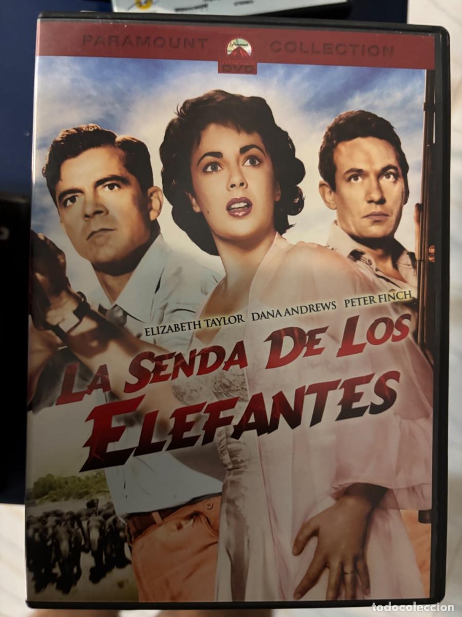 Cine: La senda de los elefantes (Pel&iacute;cula dvd)