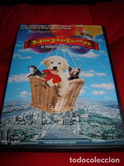 Cine: Napoleon El Perrito Aventurero- 8420018806678
