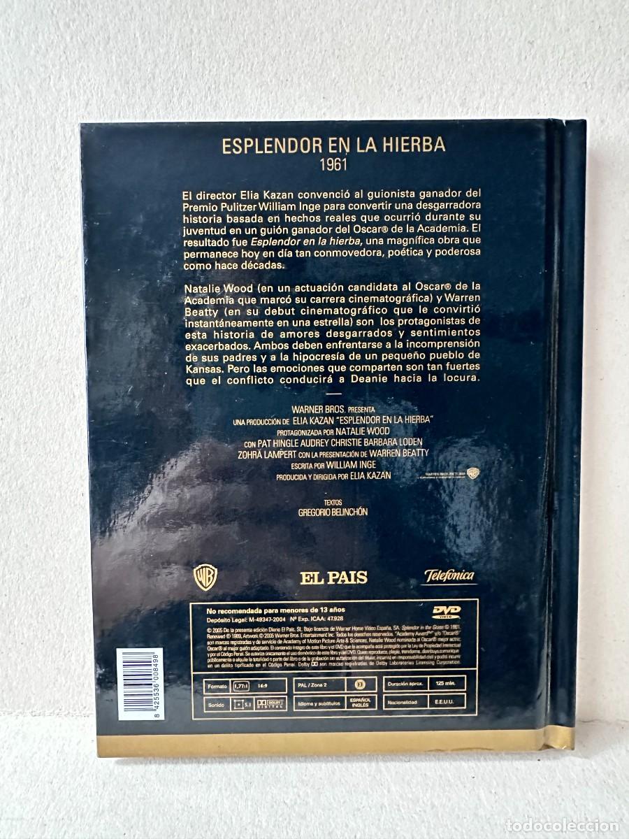Cine: Esplendor en la Hierba (DVD + Libro) - Foto 2