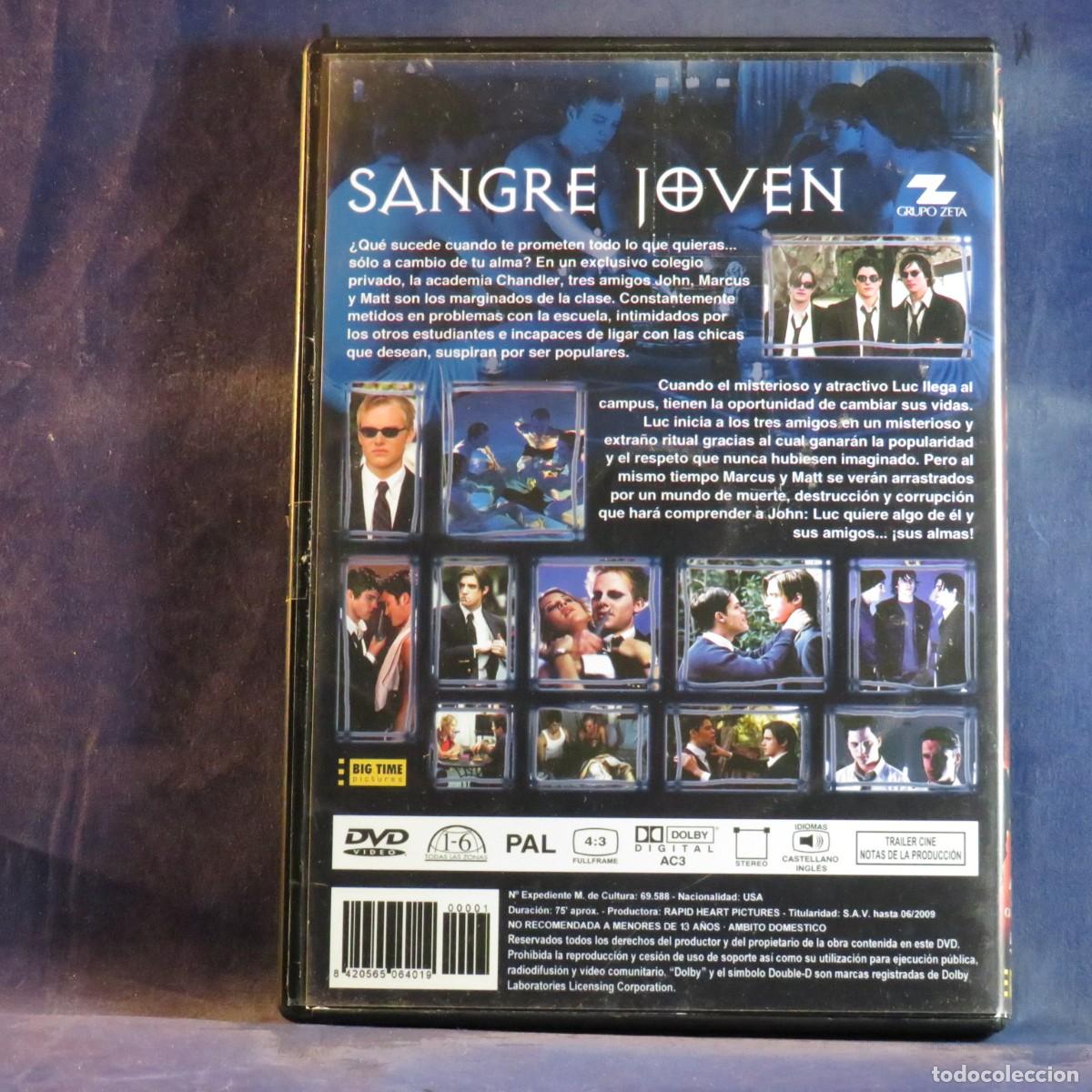 Cine: SANGRE JOVEN - DVD - - Foto 2