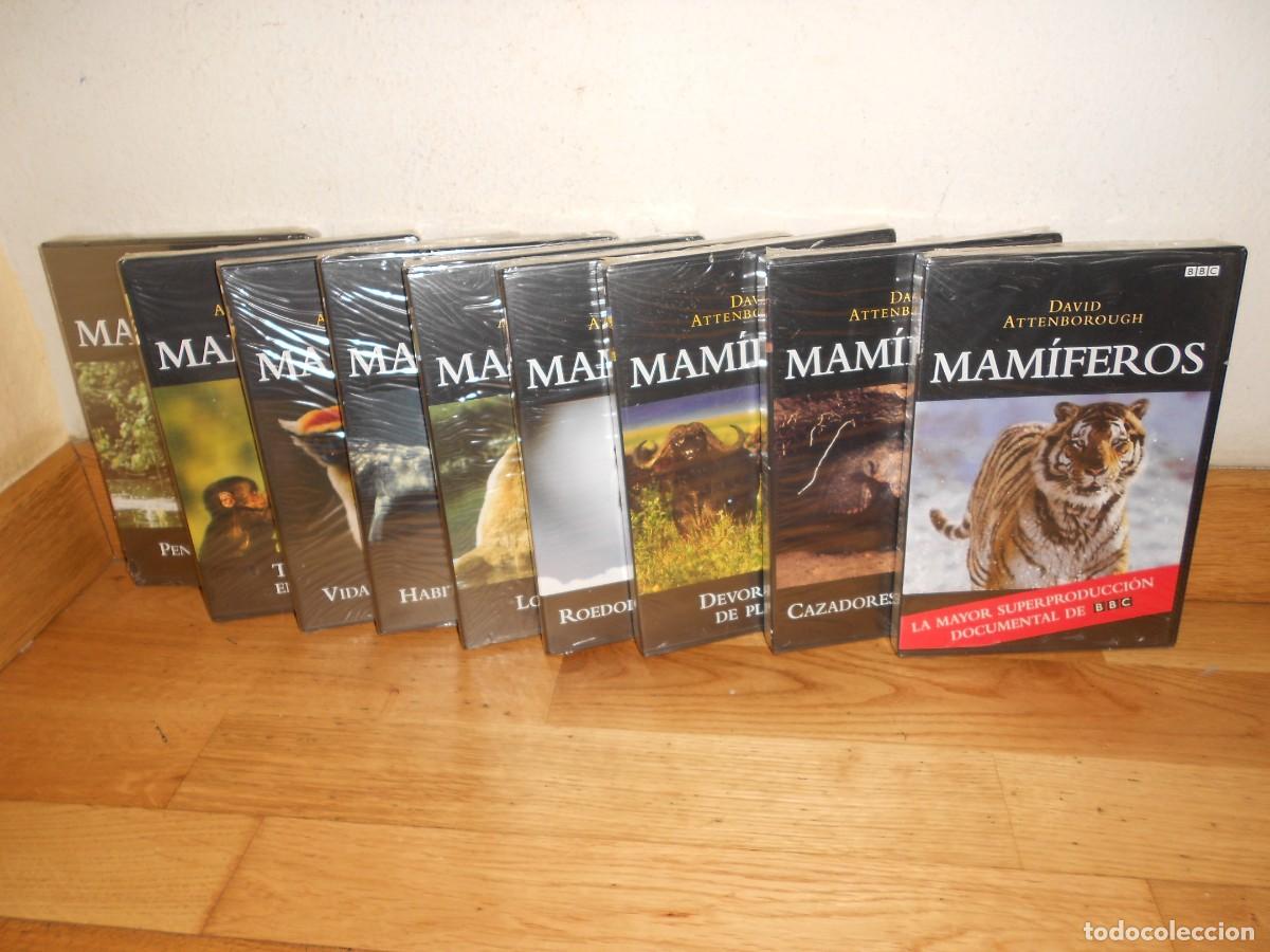 Cinema: MAMIFEROS : DAVID ATTENBOROUGH - COLECCION casi COMPLETA 9 DVDs ( solo falta 1 ) DOCUMENTALES - 1&euro;y+