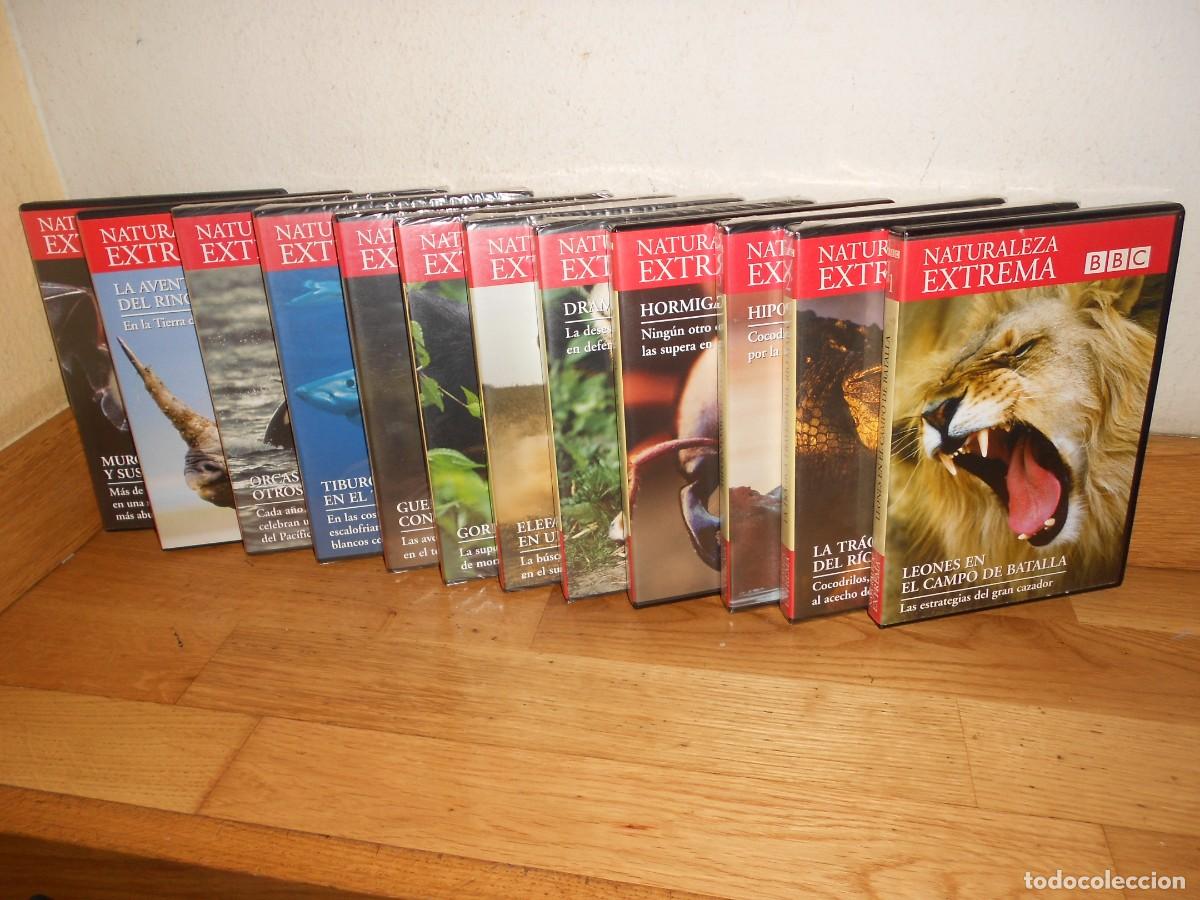 Kino: NATURALEZA EXTREMA - COLECCION COMPLETA 12 DVDs - DOCUMENTALES de la BBC - 1&euro;y+