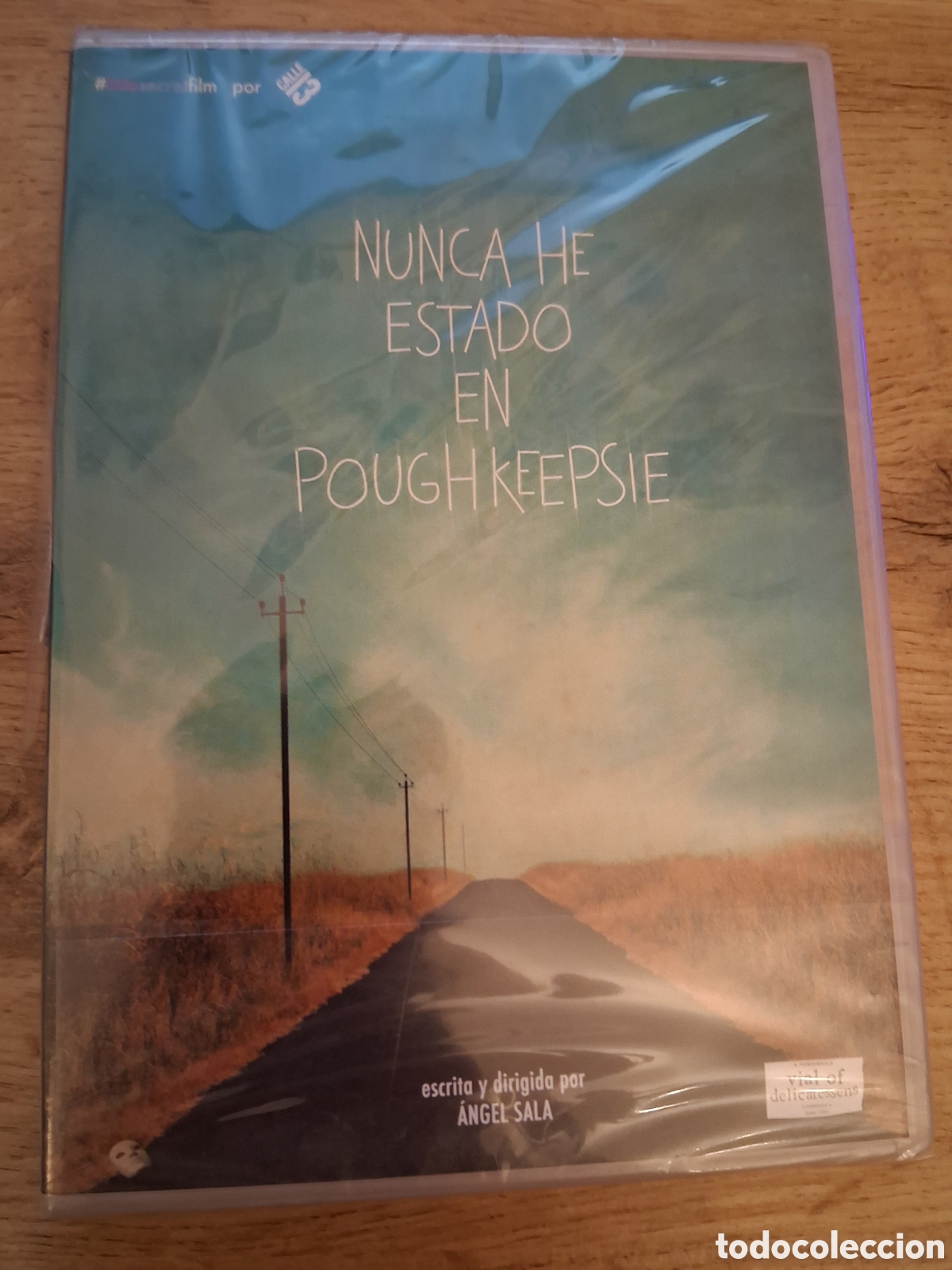 Cine: Nunca he estado en Poughkeepsie DVD Precintado