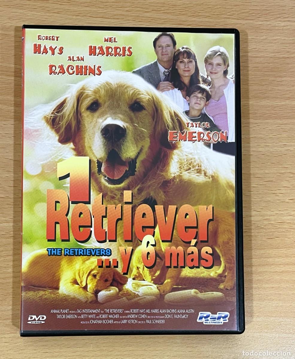 Cine: DVD CINE COMEDIA FAMILIAR PERRUNA - 1 RETRIEVER... Y 6 M&Aacute;S (2001)