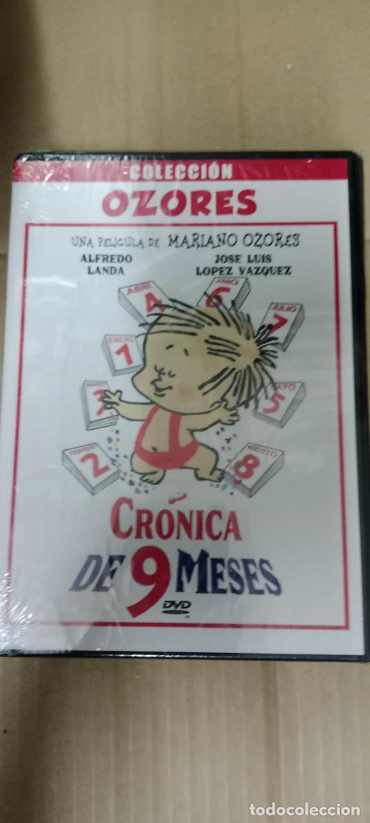 Cine: CRONICA DE 9 MESES PRECINTADO DVD CINE GG-TOF