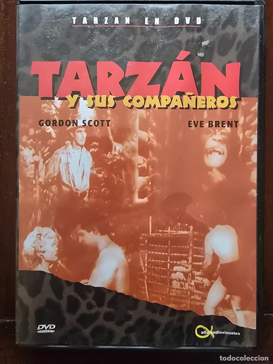 Cine: DVD Tarzan y sus Compa&ntilde;eros.Gordon Scott