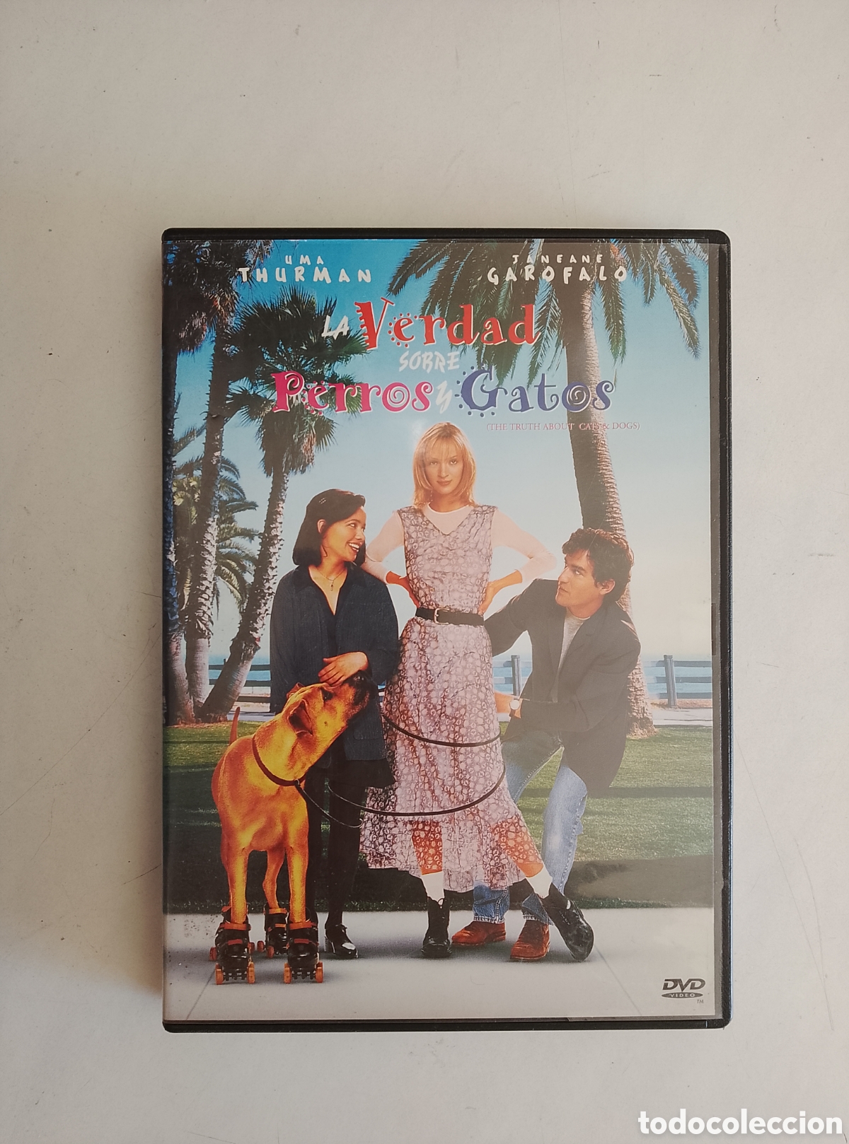 Cine: PELICULA DVD LA VERDAD SOBRE PERROS Y GATOS