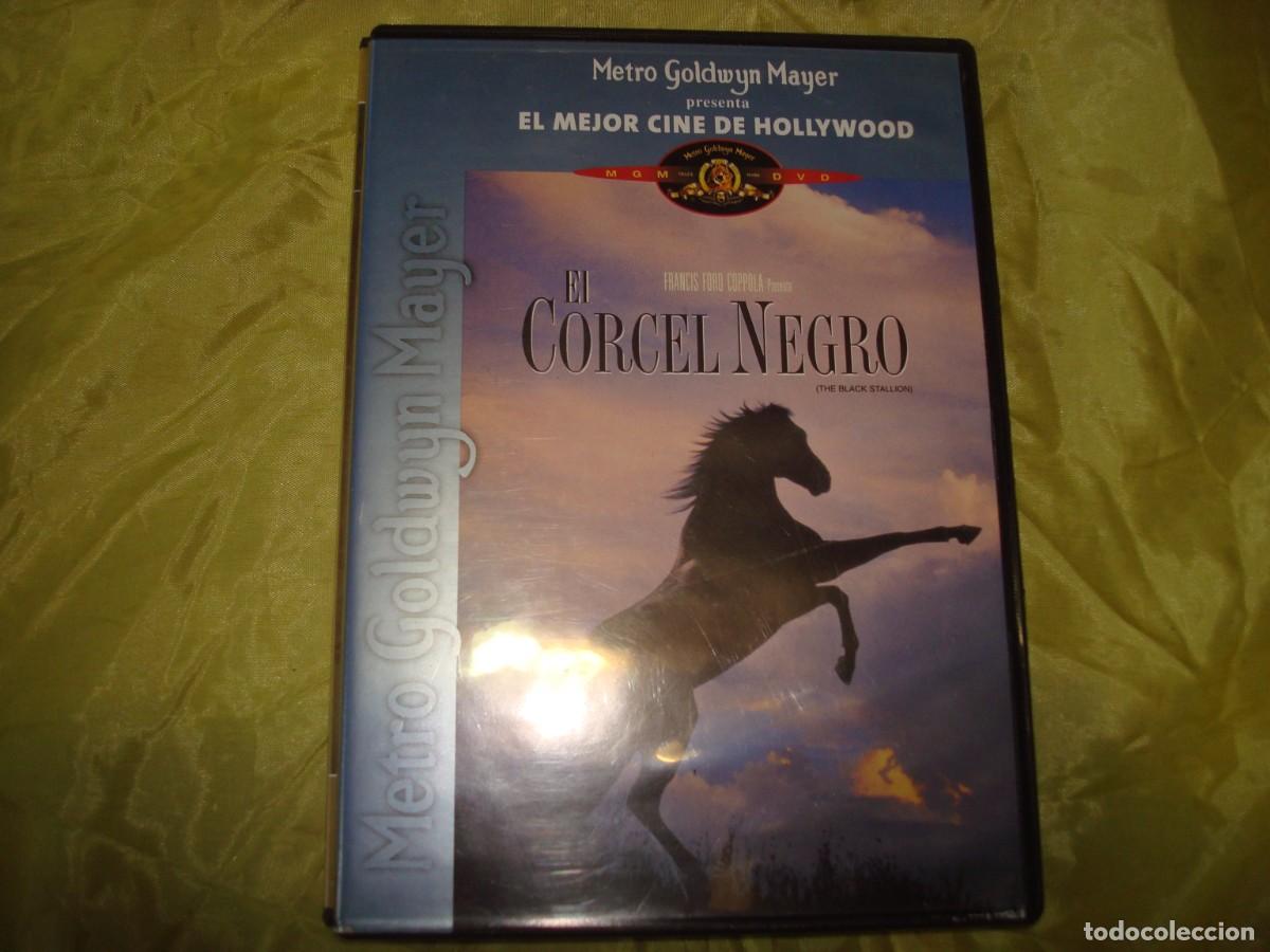 Cine: EL CORCEL NEGRO. DVD
