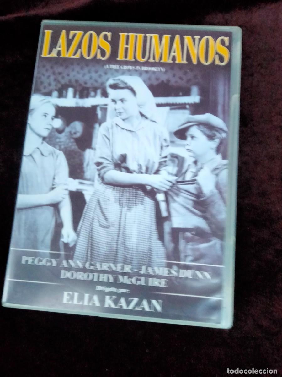 Cine: lazos humanos - elia kazan - dvd como nuevo con librito