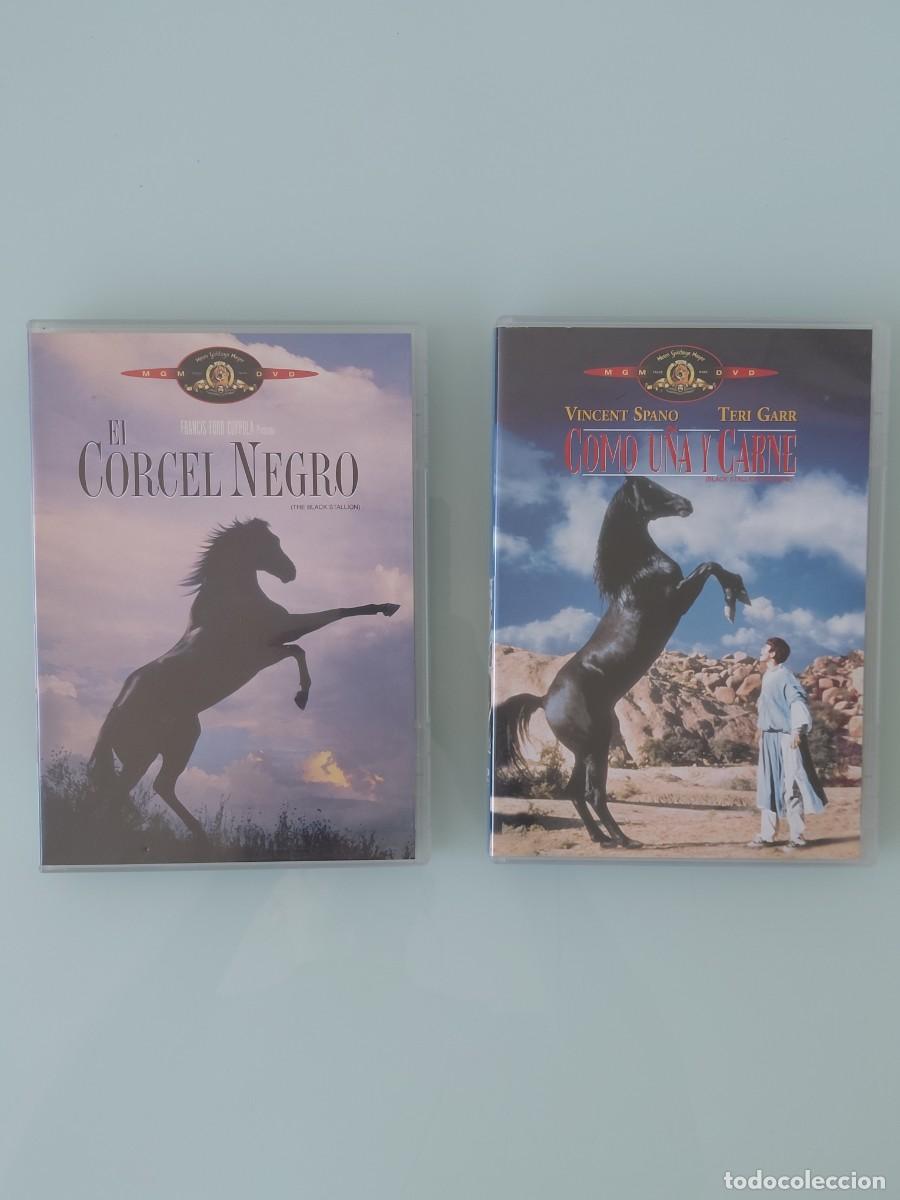 Cine: DVD - EL CORCEL NEGRO Y COMO U&Ntilde;A Y CARNE CON TERI GARR (LOTE 2 DVDS)