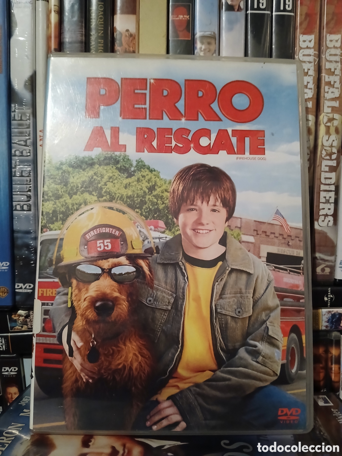 Cine: Perro al Rescate DVD CineYVideojuegosAlMejorPrecio