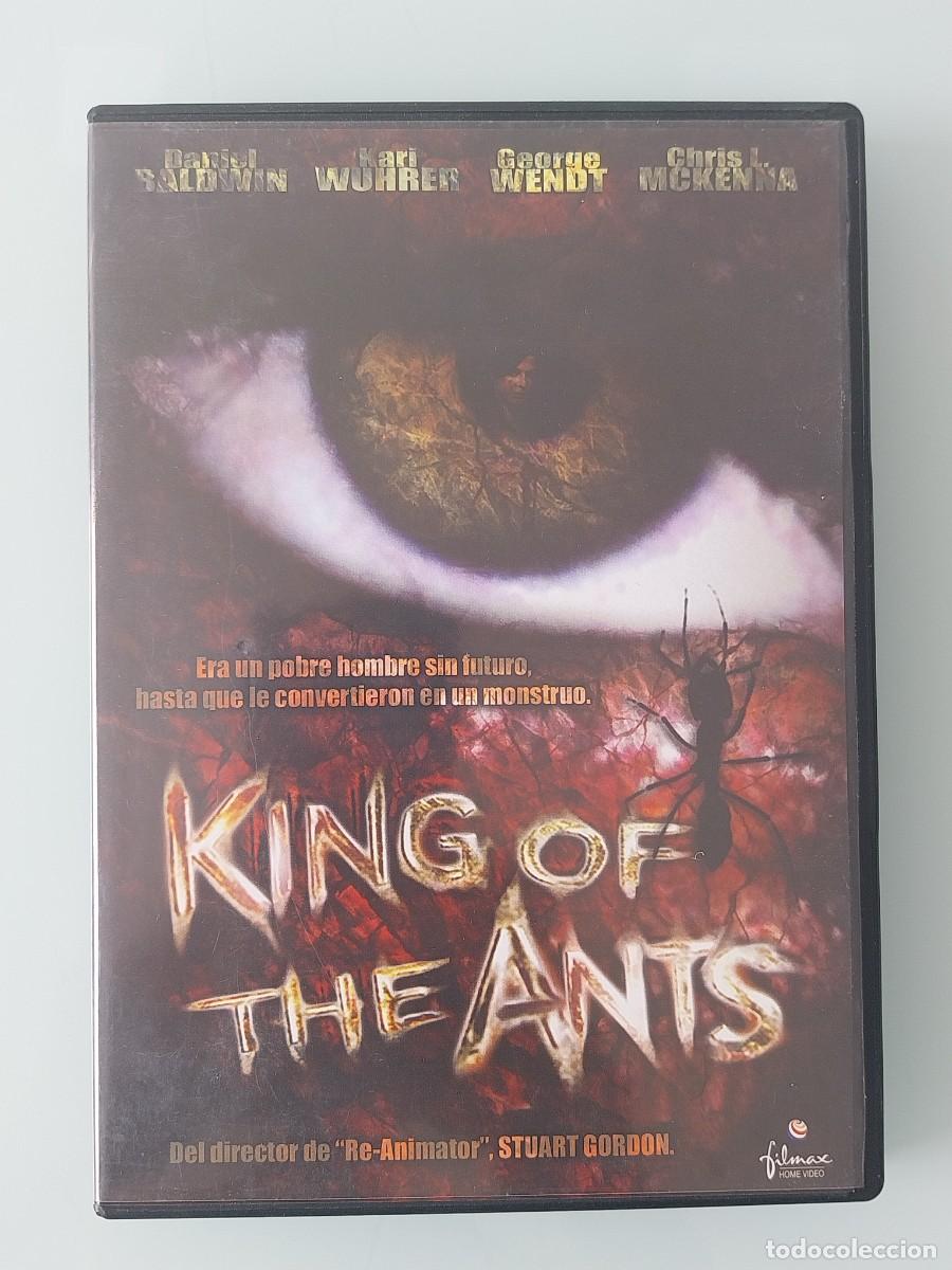 Cine: DVD - KING OF THE ANTS DE STUART GORDON CON DANIEL BALDWIN