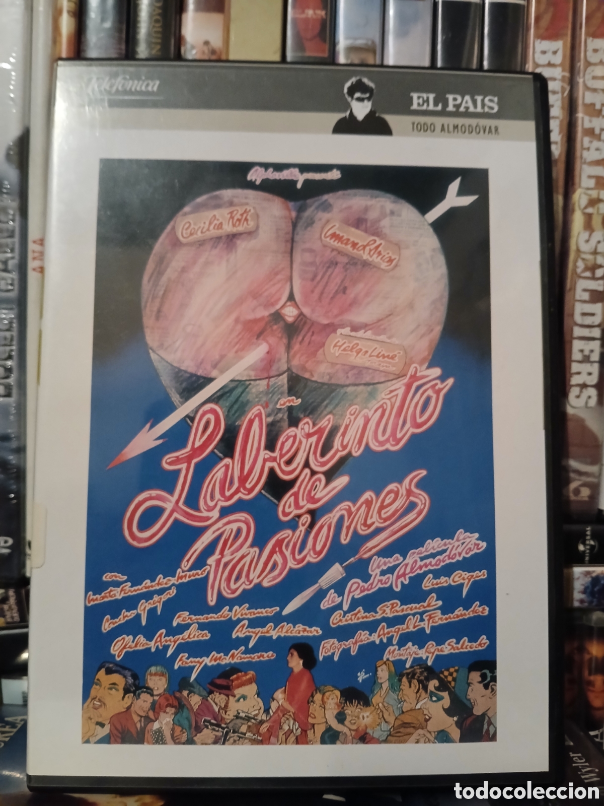 Cine: Laberinto de Pasiones DVD CineYVideojuegosAlMejorPrecio
