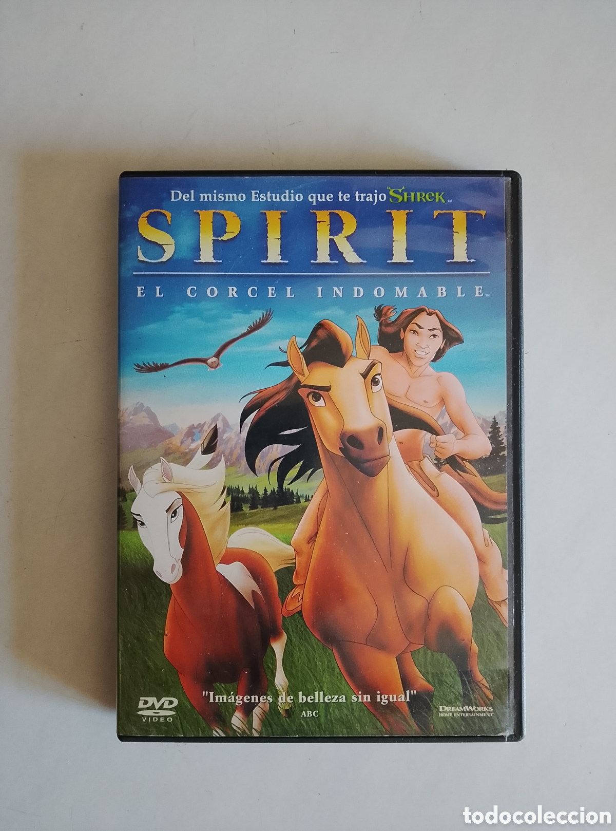 Cine: PELICULA DVD SPIRIT (el corcel indomable)