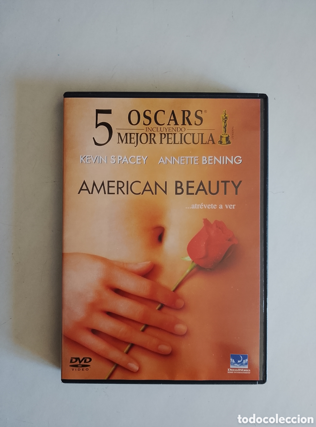 Cine: PELICULA DVD AMERICAN BEAUTY