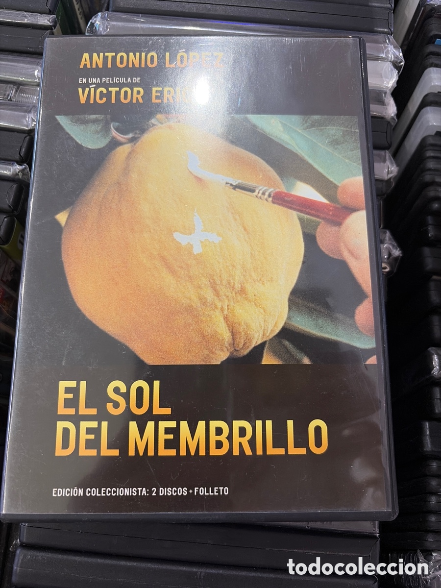 Cin&eacute;ma: DVD EL SOL DEL MEMBRILLO - VICTOR ERICE, ANTONIO LOPEZ