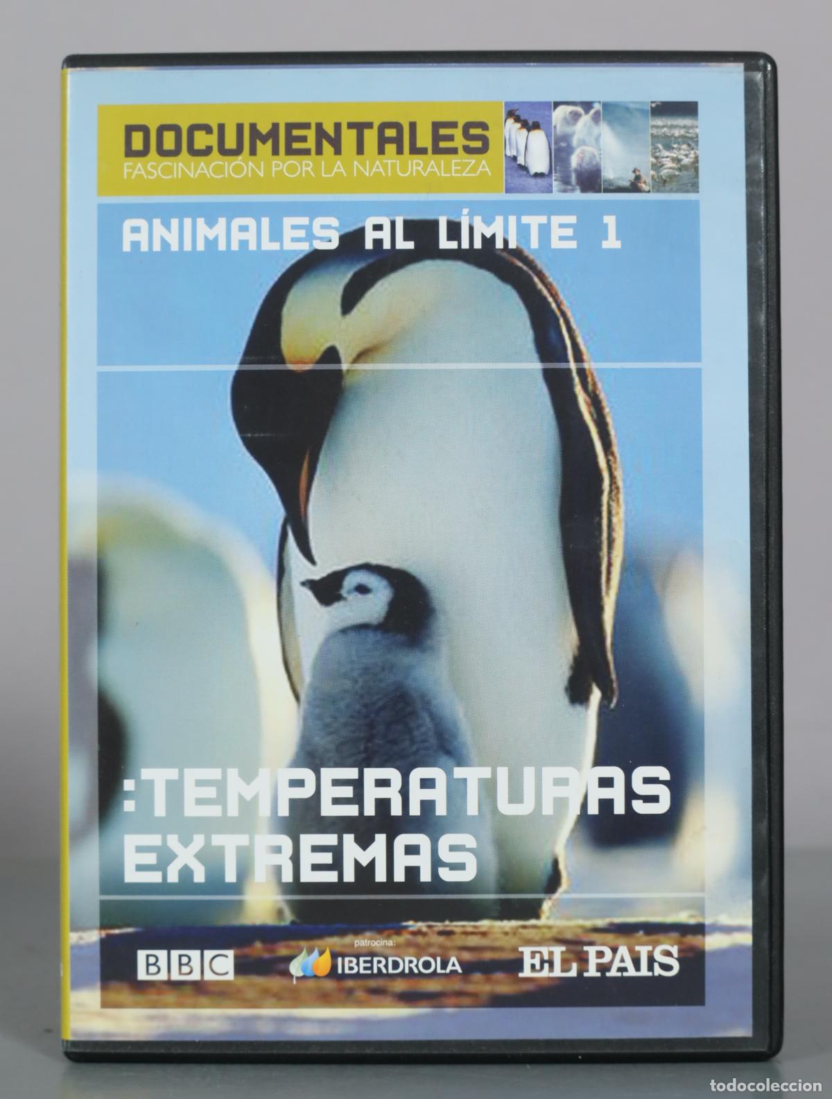 Cine: DVD. Animales al L&iacute;mite 1 - Temperaturas Extremas - BBC - El Pa&iacute;s