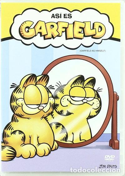 Cine: As&iacute; es Garfield- 8420266920294