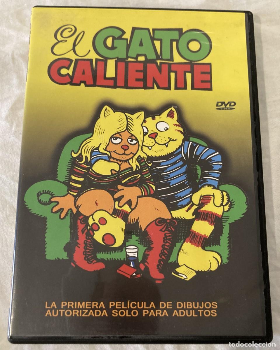 Cine: dvd original EL GATO CALIENTE / Ed Cinema International Media