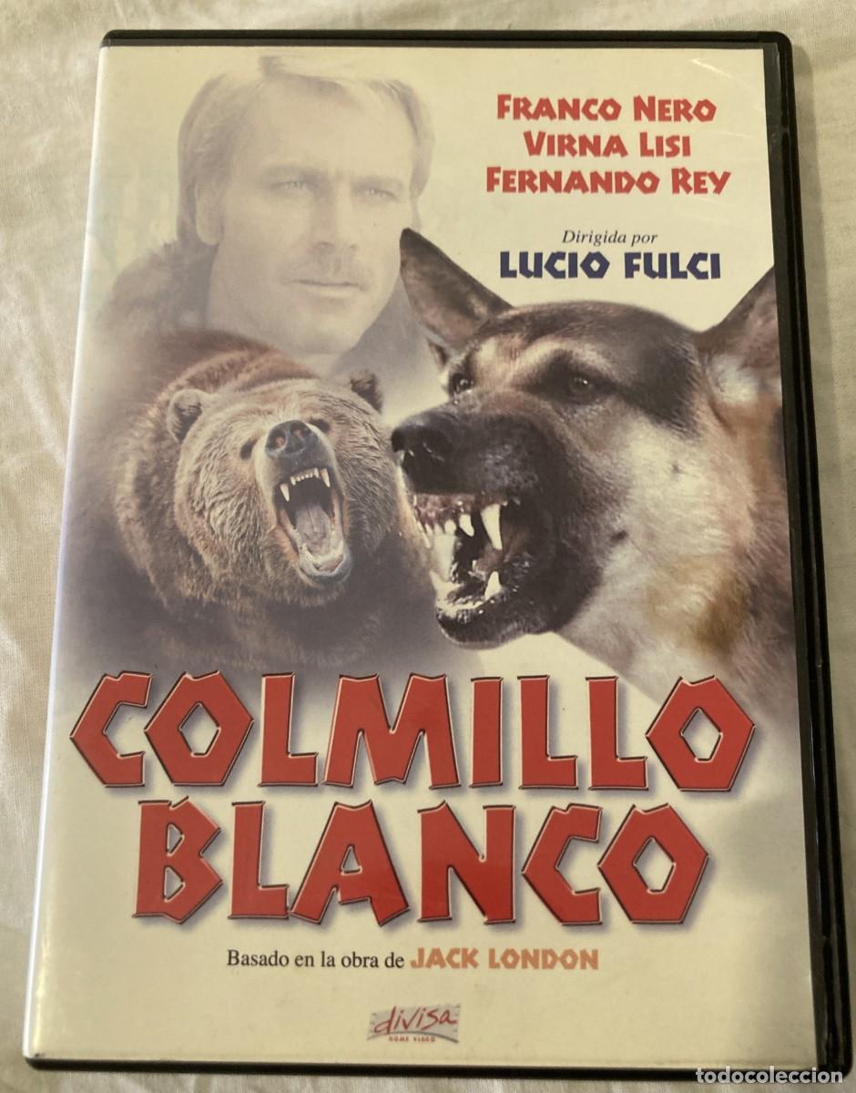 Cine: dvd original COLMILLO BLANCO / Ed DIVISA - Foto 1