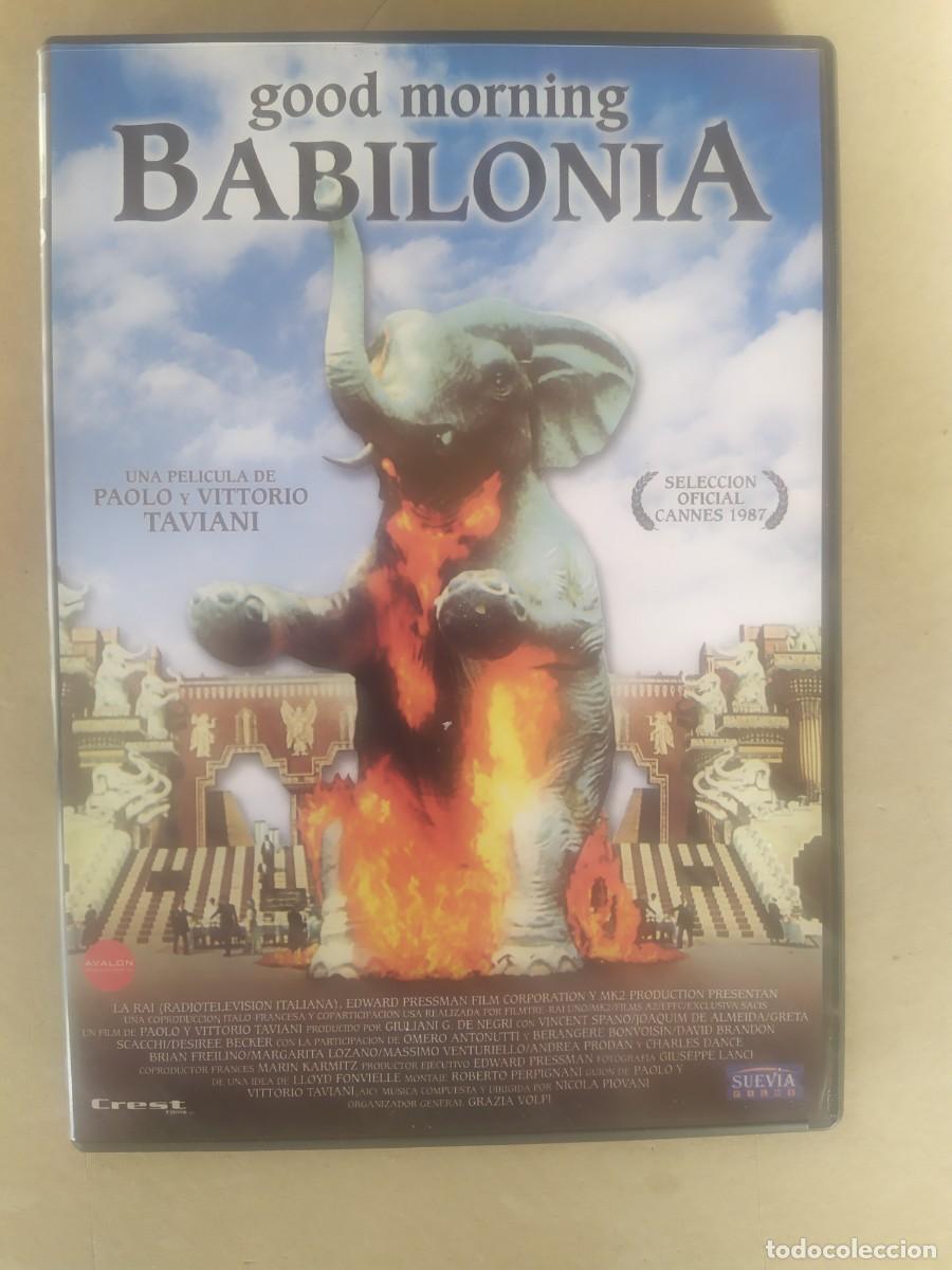 Cinema: GOOD MORNING BABILONIA. DVD EN BUEN ESTADO
