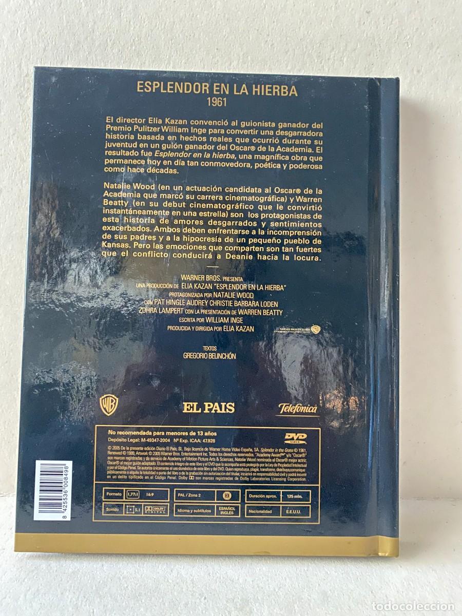 Cine: Esplendor En La Hierba (DVD + Libro) - Foto 2