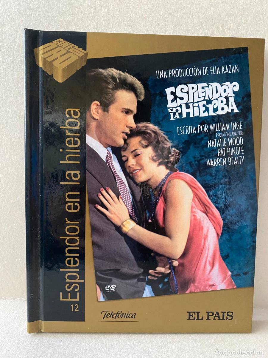 Kino: Esplendor En La Hierba (DVD + Libro)