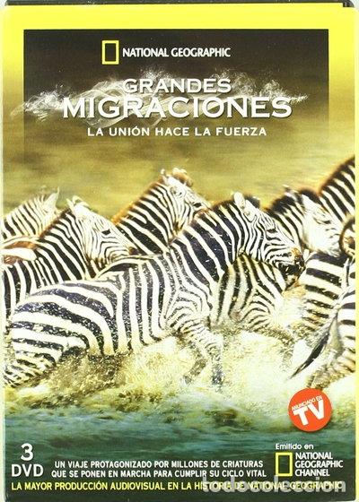 Kino: Grandes Migraciones, Moverse o Morir- 8436022298880