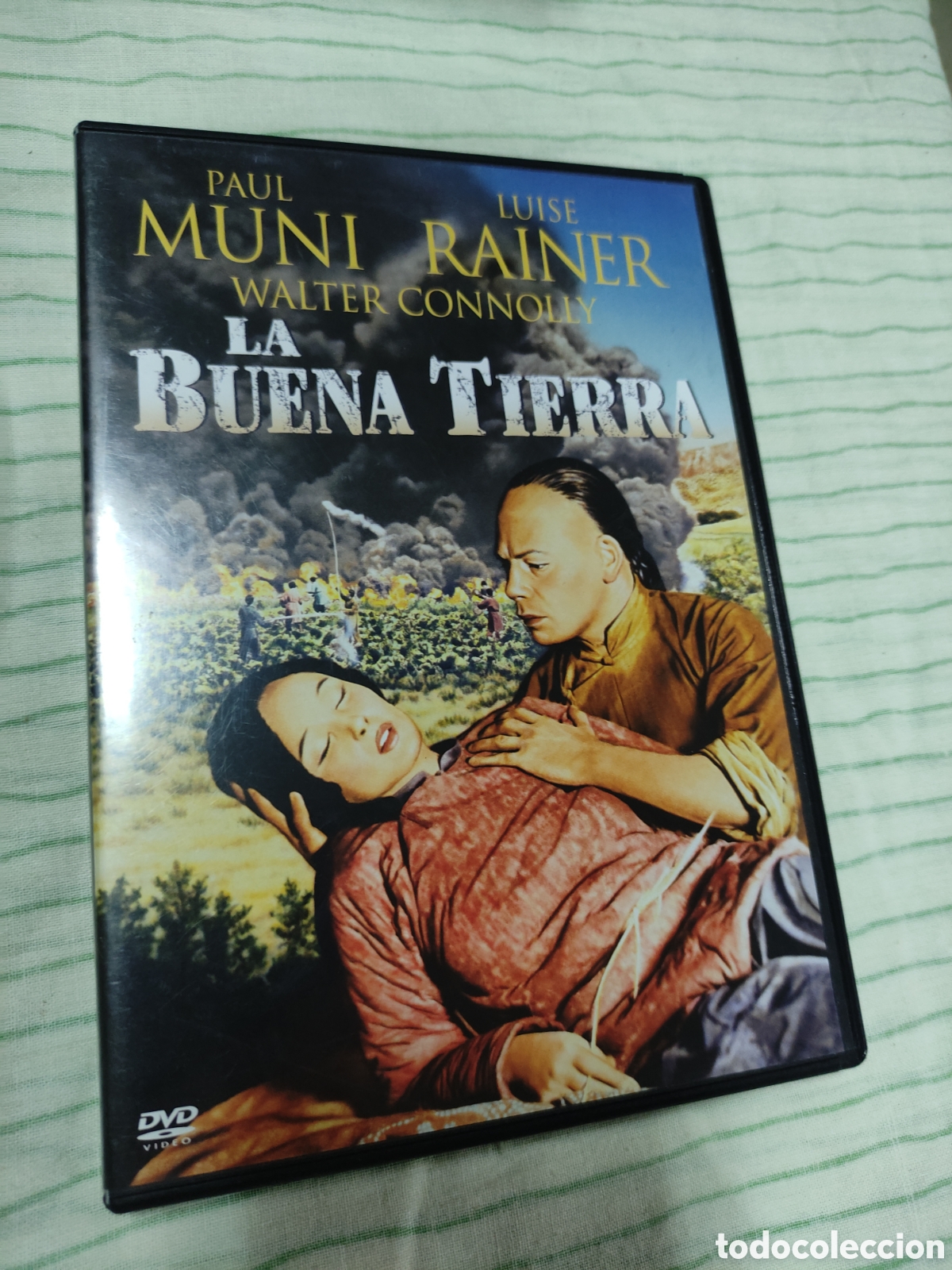 Cinema: DVD - pel&iacute;cula - La buena tierra