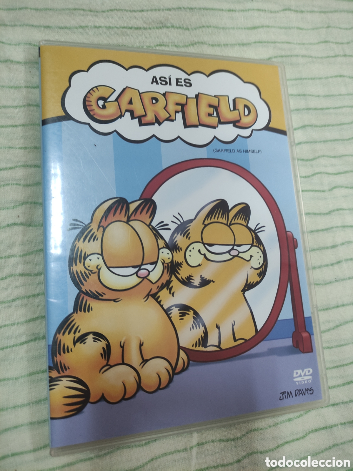 Kino: DVD - dibujos animados - As&iacute; es Garfield