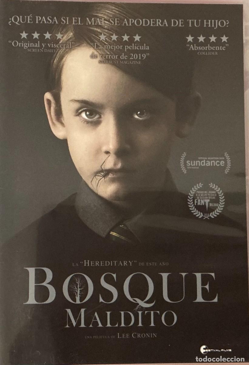 Cin&eacute;ma: BOSQUE MALDITO - LEE CRONIN - TERROR SOBRENATURAL - BOSQUE ENCANTADO - MALDICIONES - FOLCLORE