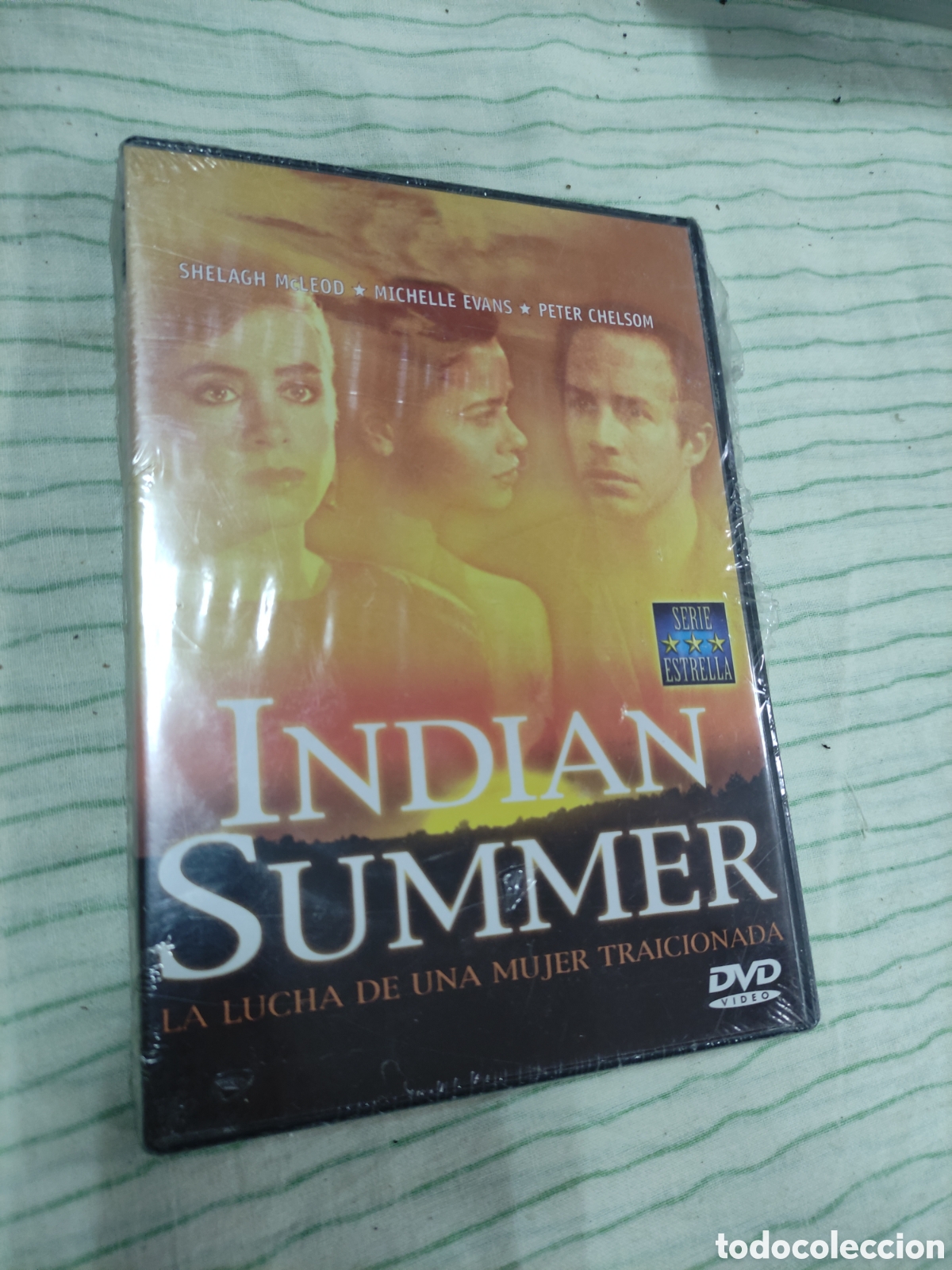 Cinema: DVD - pel&iacute;cula - Indian summer