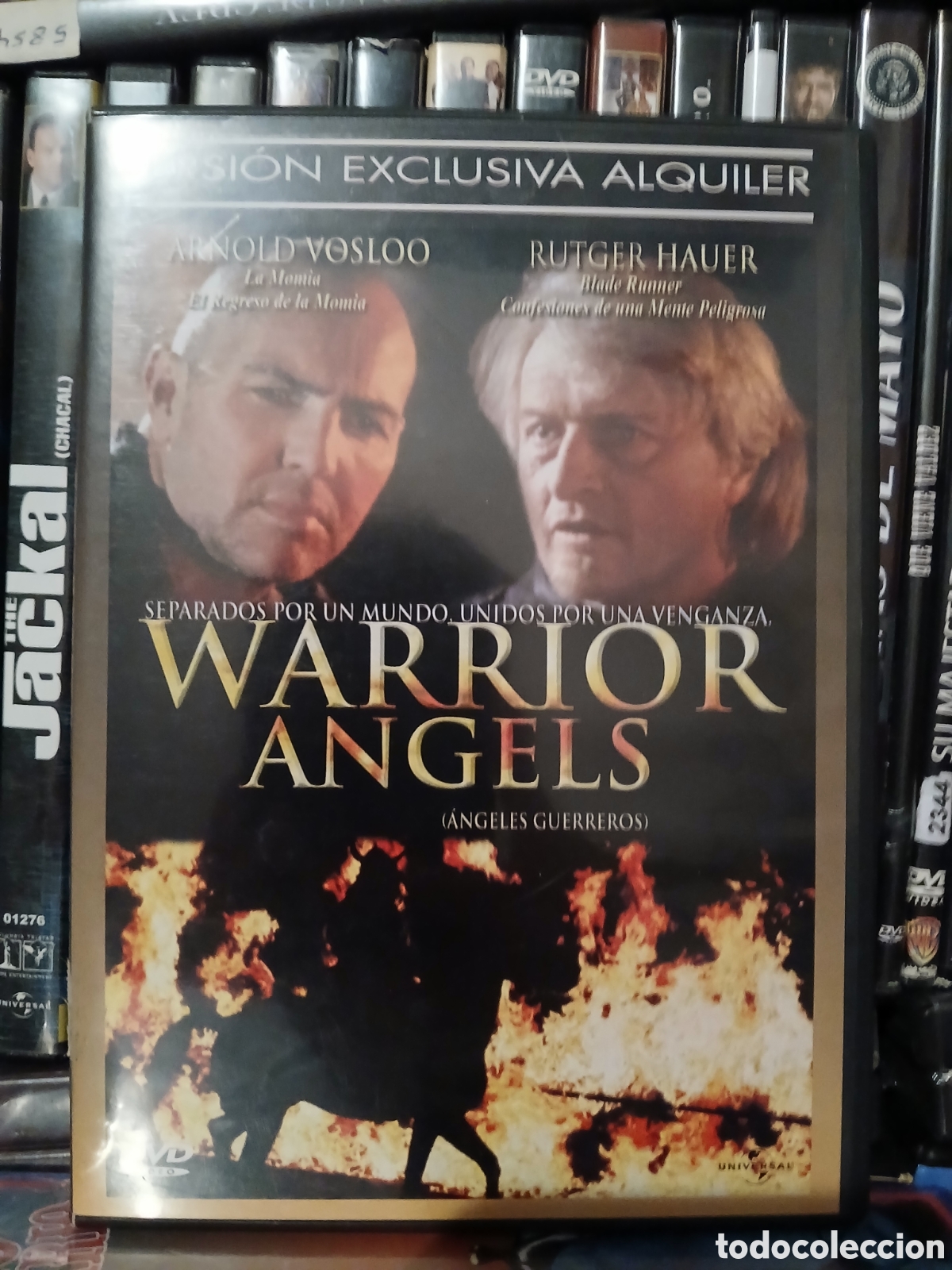 Cinema: Warrior Angels DVD CineYVideojuegosAlMejorPrecio