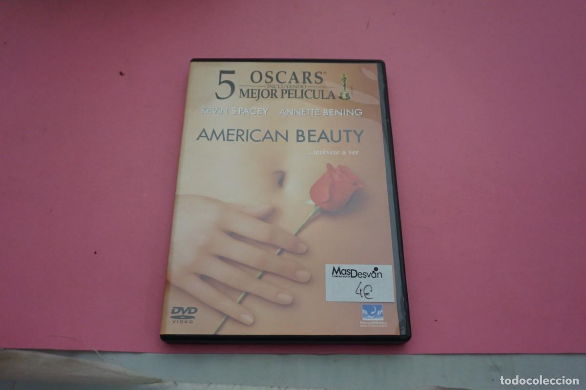 Cine: 8B3/ DVD - AMRICAN BEAUTY - KEVIN SPACEY