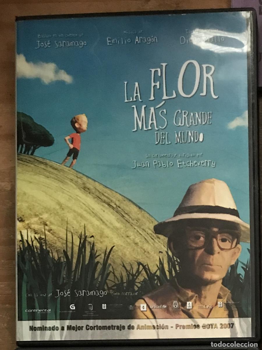 Cine: DVD. La flor m&aacute;s grande del mundo. Juan Pablo Etcheverry, Jos&eacute; Saramago