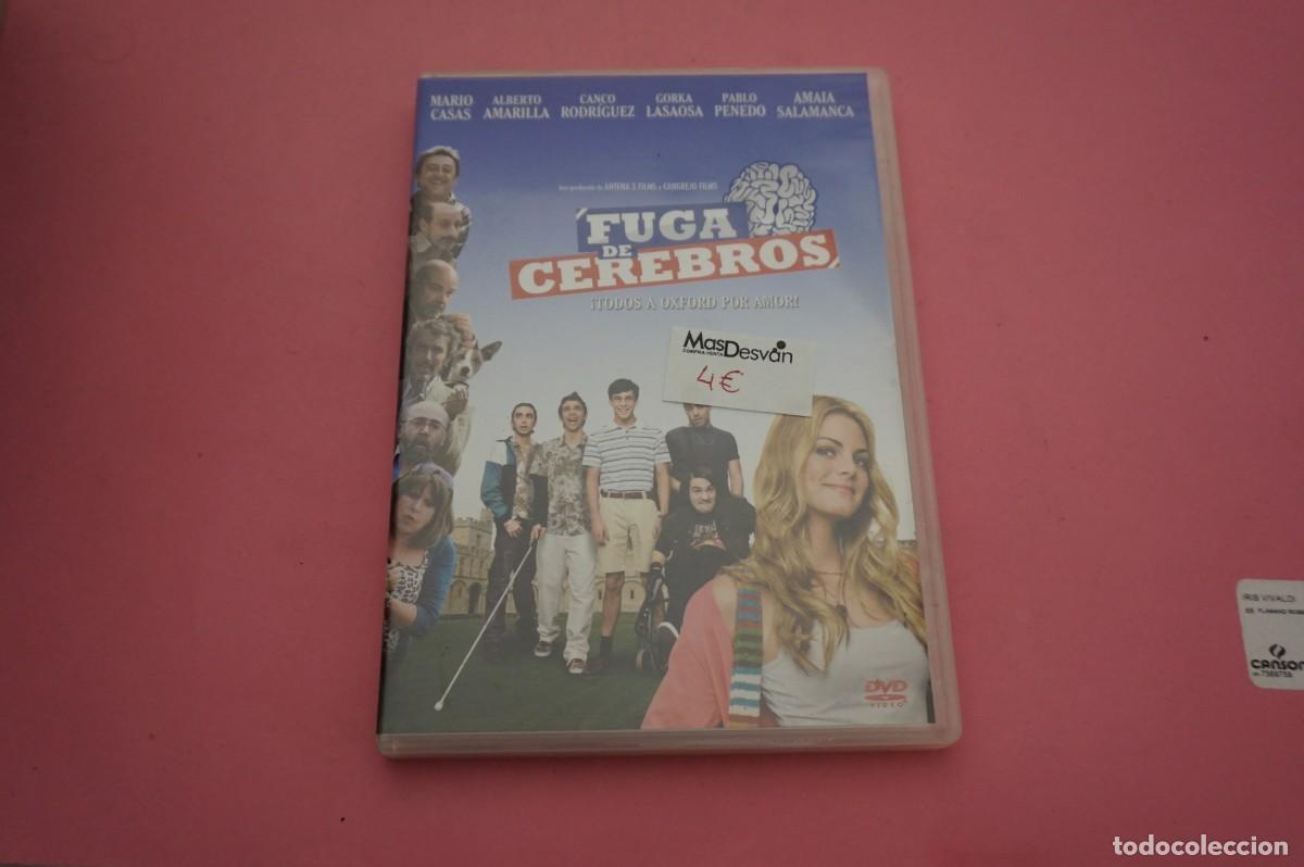Cinema: 1B/ DVD - FUGA DE CEREBROS - MARIO CASAS, AMAIA SALAMANCA