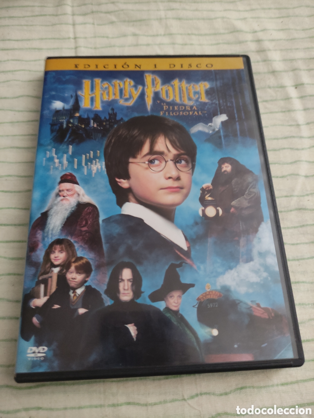 Cine: DVD - pel&iacute;cula - Harry Potter y la piedra filosofal