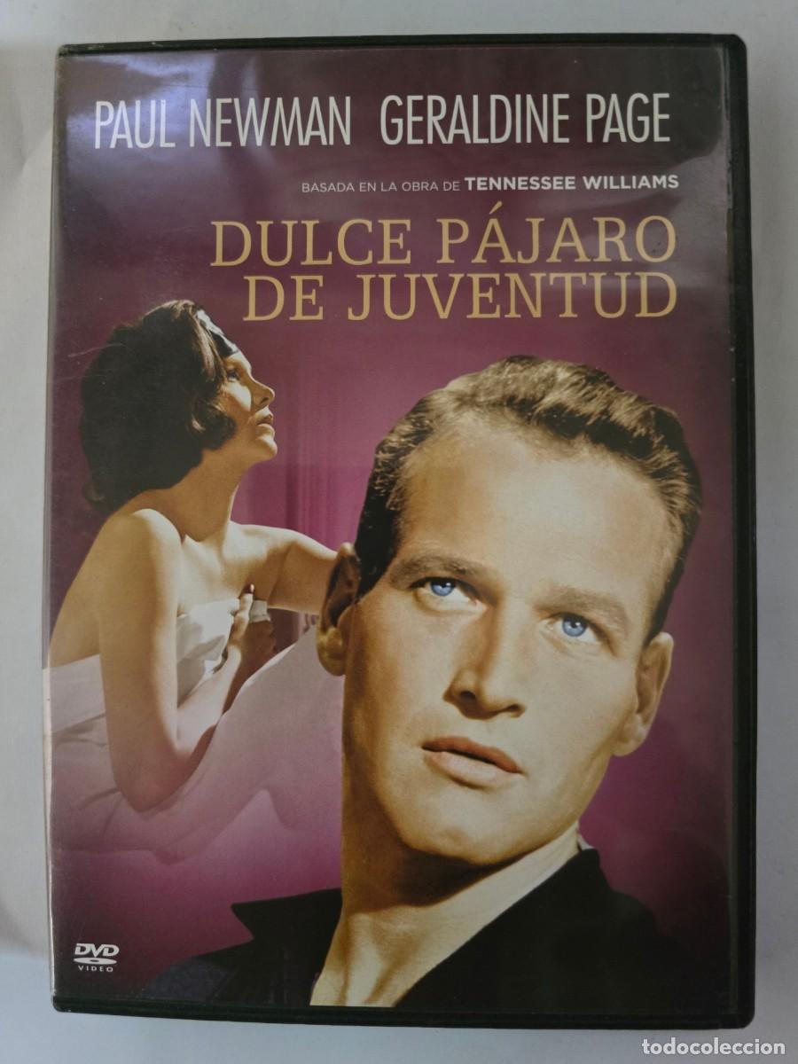 Cine: DVD Dulce Pajaro de Juventud.Paul Newman