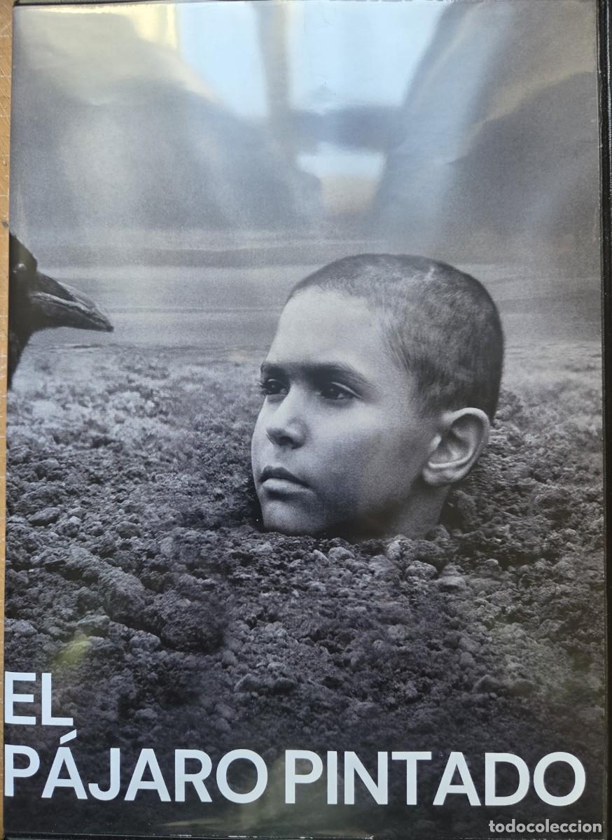 Kino: EL PAJARO PINTADO DVD - EL DRAMA DE UN NI&Ntilde;O JUDIO QUE SUFRE LO INDECIBLE DURANTE LA 2&ordf;GM.