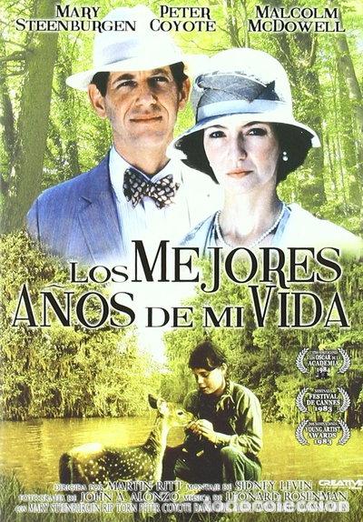 Cine: Los mejores a&ntilde;os de mi vida- 8431797202292