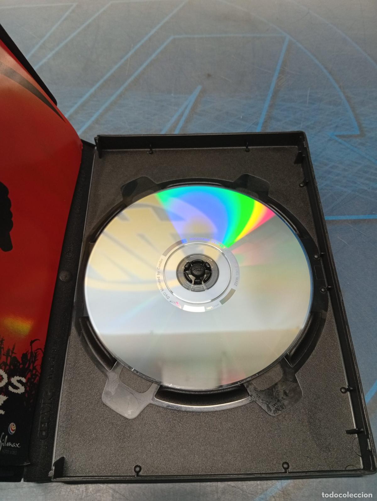 Cine: Dvd, Los Chicos Del Maiz - Foto 5