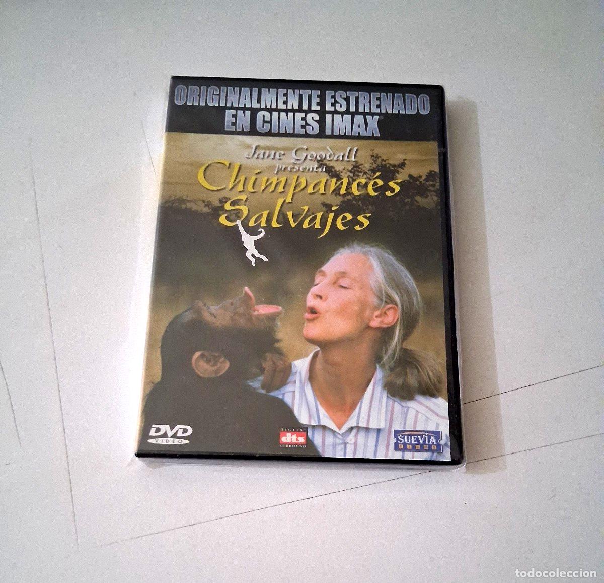 Cine: DVD &rdquo;JANE GOODALL PRESENTA CHIMPANCES SALVAJES&rdquo; DVD