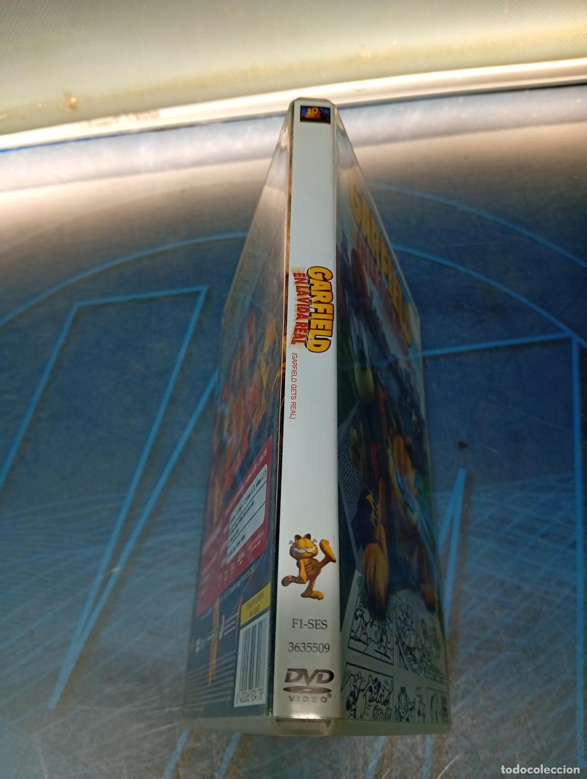 Cine: Dvd, Garfield En La Vida Real - Foto 3