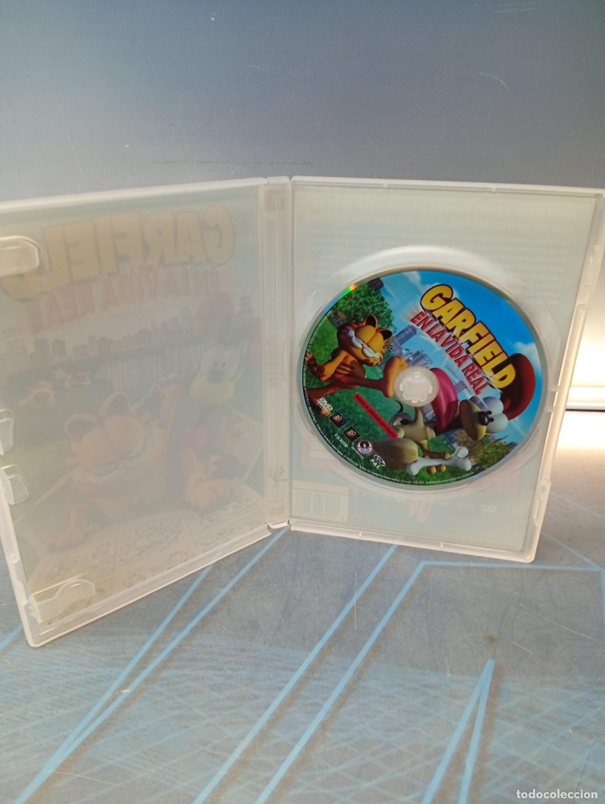 Cine: Dvd, Garfield En La Vida Real - Foto 4