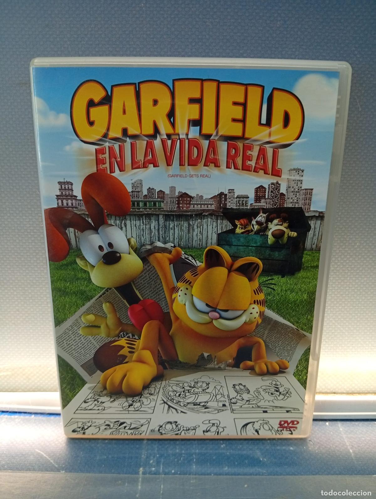 Cine: Dvd, Garfield En La Vida Real - Foto 1